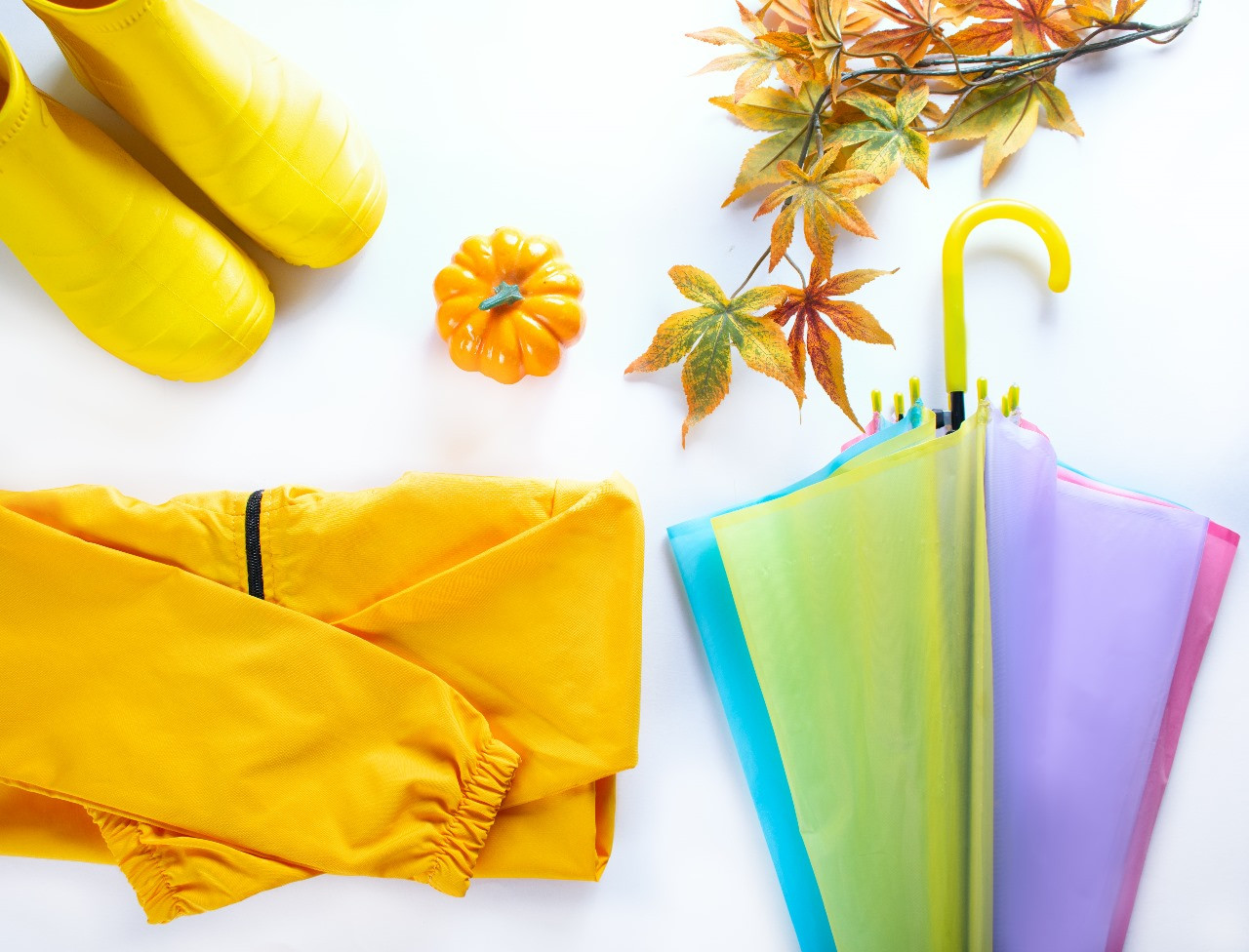 Umbrella and Accessories