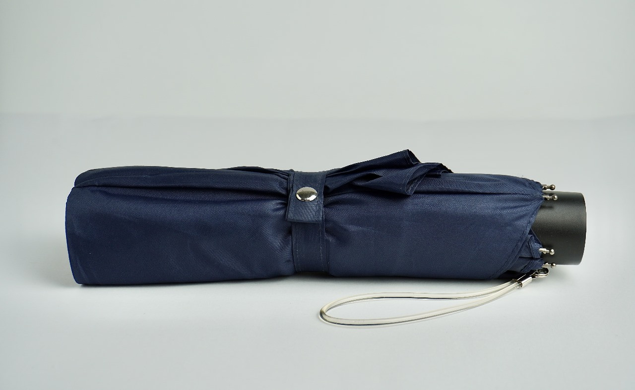 Umbrella and Accessories